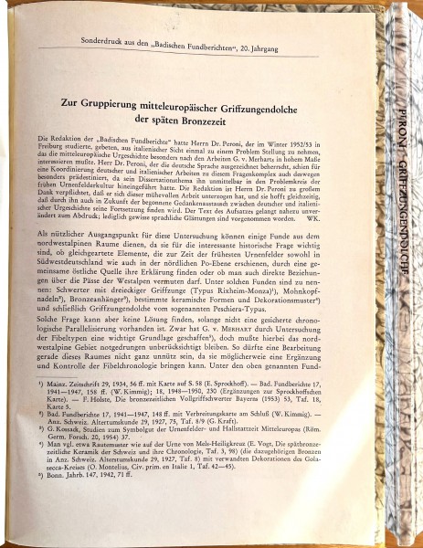 Zur Gruppierung mitteleuropäischer Griffzungendolche der späten Bronzezeit