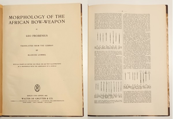 Morphology of the African Bow-Weapon